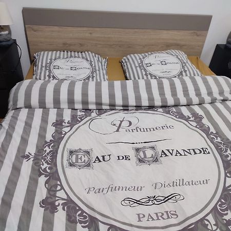 Grand Appartement Chaleureux Mirebeau-sur-Beze 外观 照片