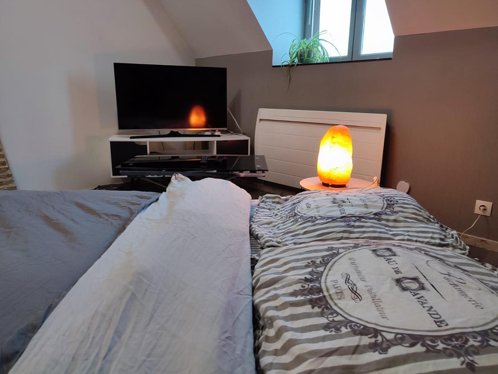 Grand Appartement Chaleureux Mirebeau-sur-Beze 外观 照片